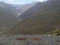 looking down west into Timaru Creek