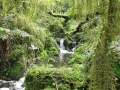 "Garden of Eden"