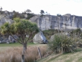 Limestone escarpment