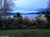 Lake TeAnau