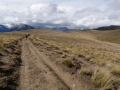 06 Along the tussock tops