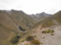 15 Road down to Top Timaru Hut