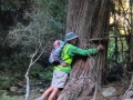 06-Tree-hugging
