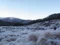 leaving Kiwiburn