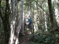 Possum_Hut_Track
