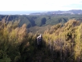 Top_of_Cedar_Spur_Track