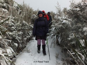 A H Reed track