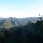 View from the loo