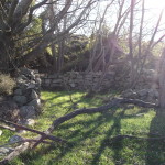 Stone building remains