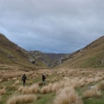 Back up Orbells Creek