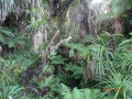 DSC01071