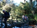 Hollyford