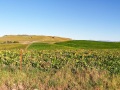 04-Stoney-ridge