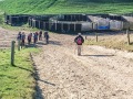 11-Cattle-yards