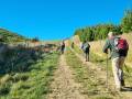 11-A-bit-of-a-hill