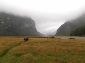 Looking up East Matukituki Valley