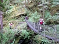 Glacier Burn Bridge