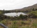 The Reservoir