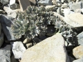 01-IMG_3111