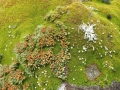 23-IMG_3146