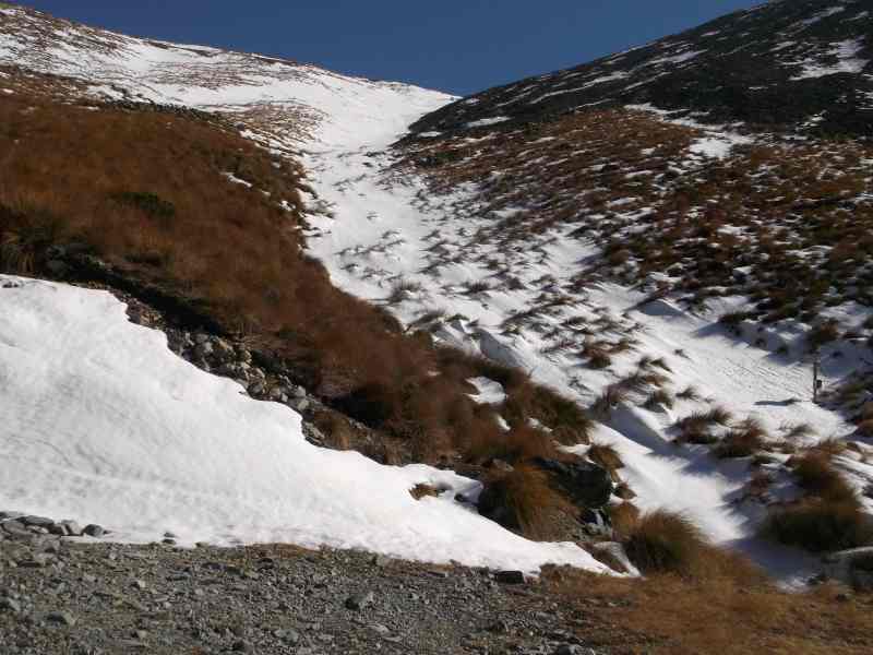 06-Red-tussocks-and-white-snow