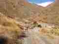 01-Setting-out-up-the-ski-road