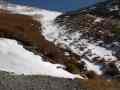 06-Red-tussocks-and-white-snow