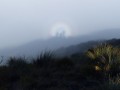 Brocken-Spectre