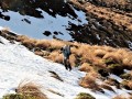 IMG_3701