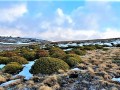 IMG_3715