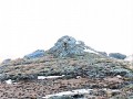 IMG_3731