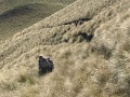 03-The-climb