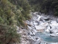 Going up the river