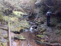 Careys-creek-track-with-old-water-pipes