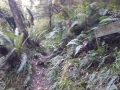 Honeycomb-track-juction