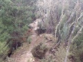 Rocky-ridge-on-the-Rongomai-track
