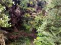 Where-has-the-track-gone.-Trotters-Gorge