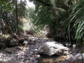 Trotters Creek
