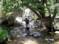 A nice walk