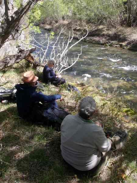 Lunch by Deep Stream