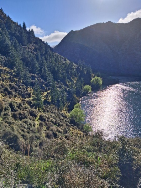 Deep Stream