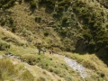 Starting_on_the_zig-zag_to_Dingle_Saddle