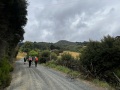 6.-Purakaunui-Station-Road-towards-Mopanui