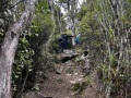 9.-Steep-climb-to-the-top-of-Mopanui