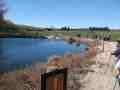 05-Around-the-pond