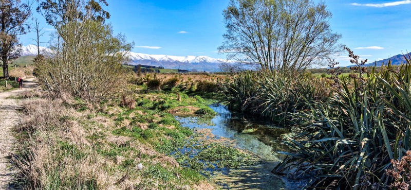 09-Stream-views