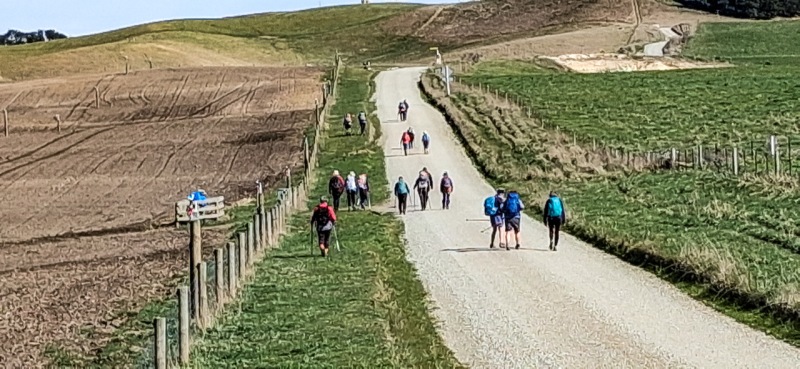 17-Road-walking