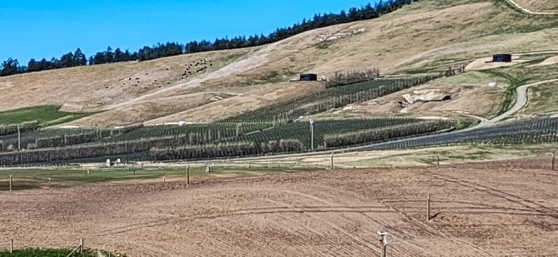 18-Vineyard-and-accommodation