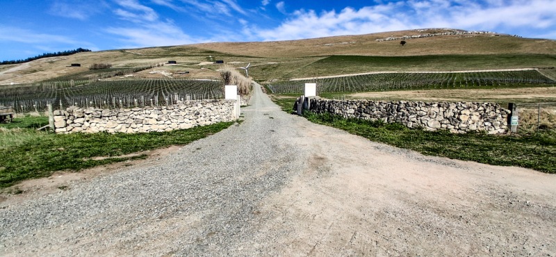 21-Vineyard-entranceway