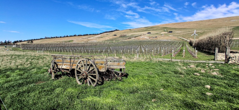 22-Old-cart-in-vineyard